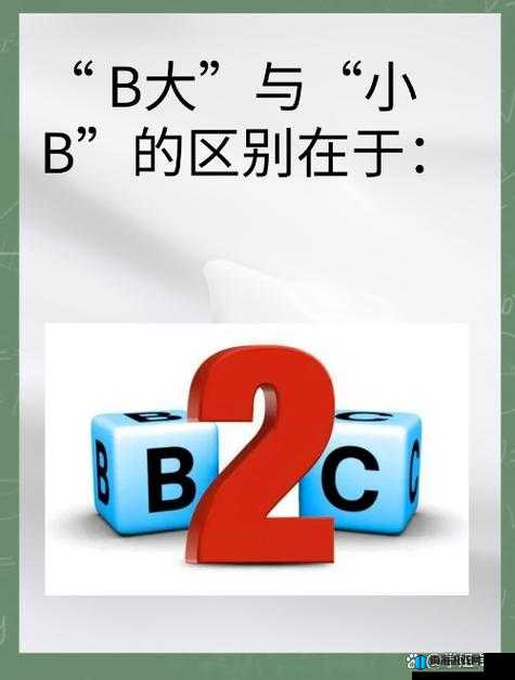 b 大与小的区别在哪里之详细解析与深入探讨