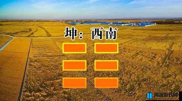 无极仙途玄水宫深度解析与门派特色介绍