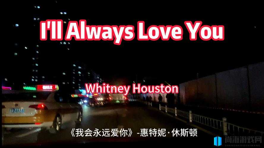 欧美和日韩 MV 最热门的一句：I will always love you 永远爱你