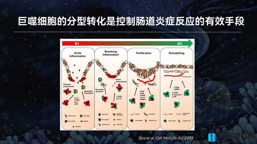 男生未开始即有粘液究竟为何原因引发关注