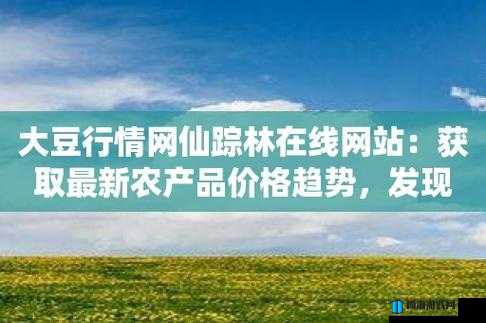 妈妈 8 仙踪林直接入口大豆行情网：一位母亲的成长与坚持