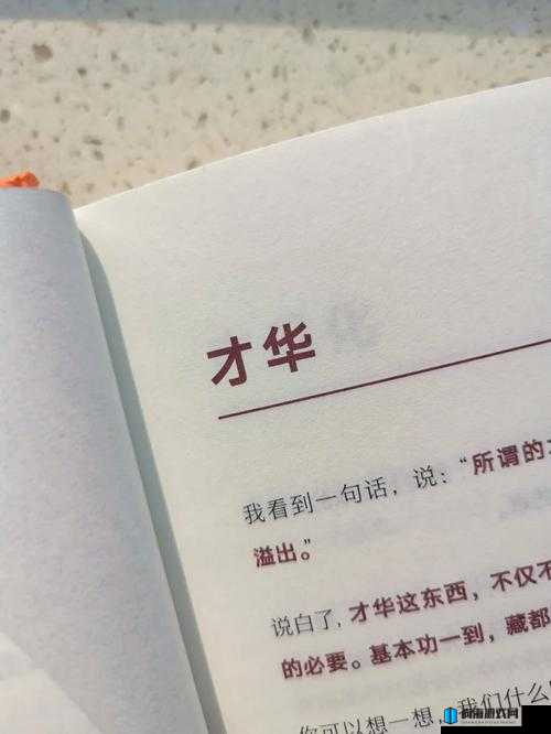 麻豆一区：一个充满特色与魅力的地方值得深入探索