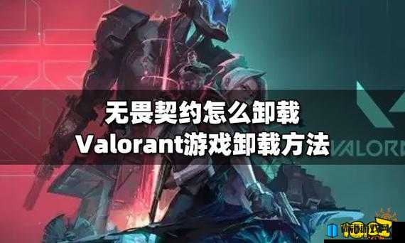 瓦罗兰特反作弊Vanguard未安装完成问题解决方案