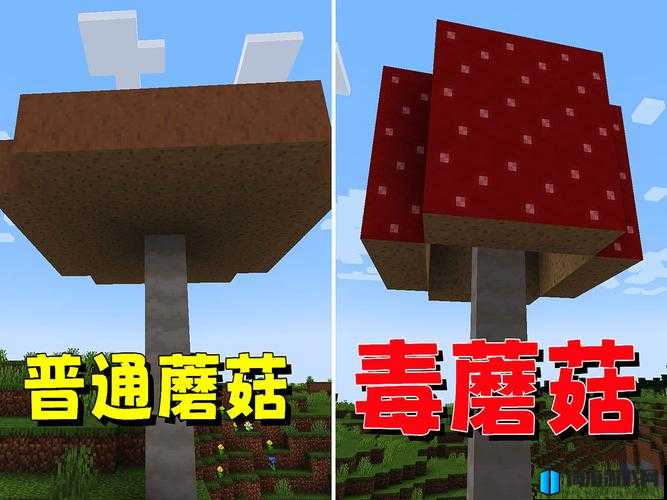 暴躁老外玩 Minecraft 蘑菇：老外的游戏世界探险之旅