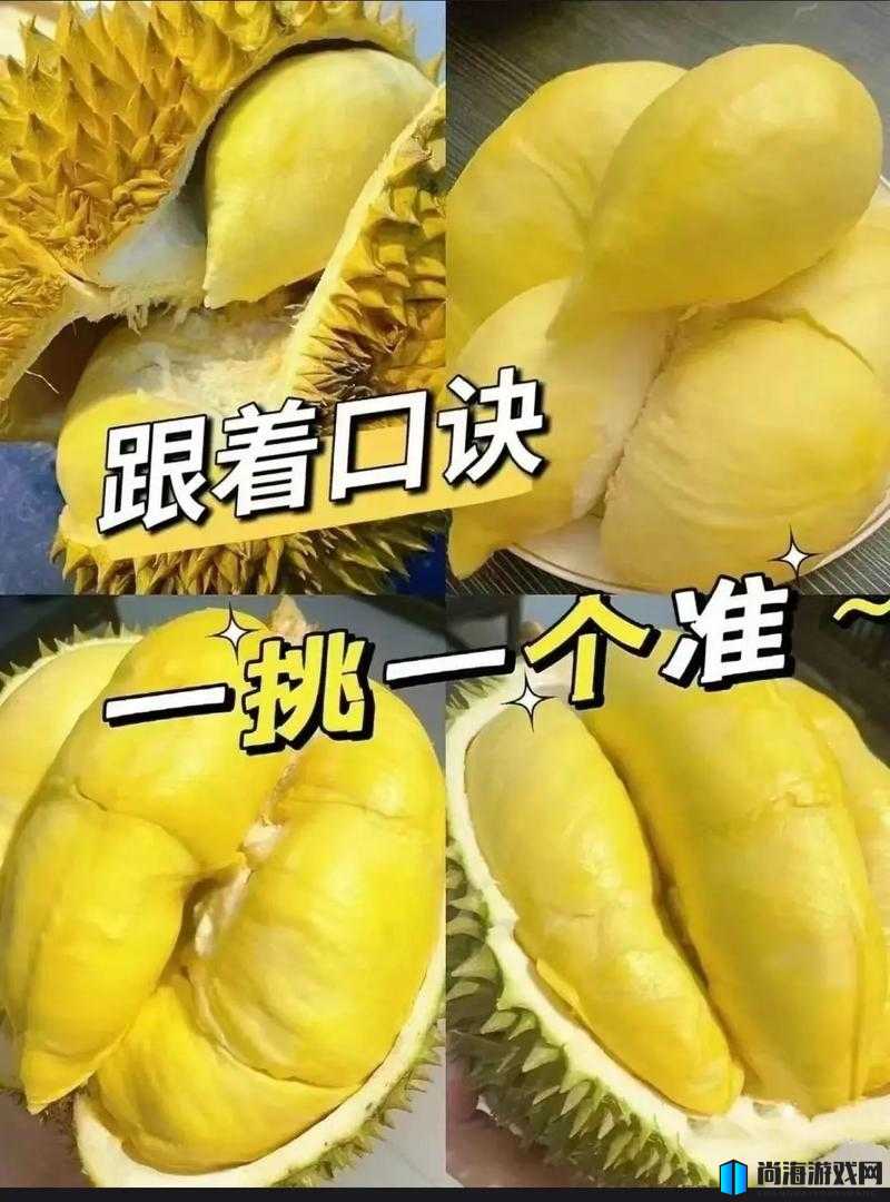 榴莲短视频 APP：畅享精彩视频世界或：榴莲短视频 APP——开启趣味视频之旅