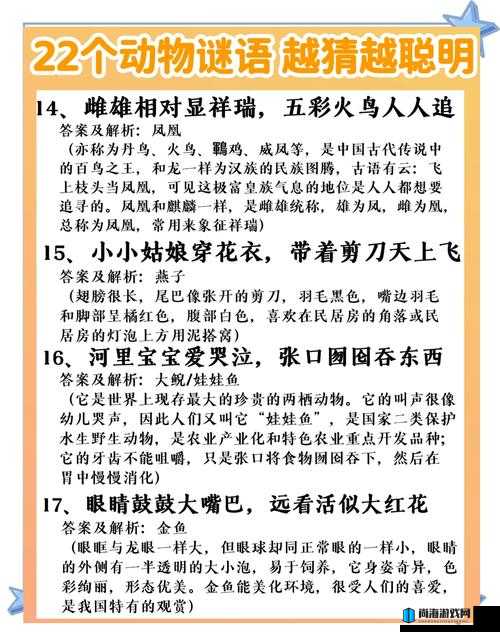 探索我是谜动物园，全面揭秘园内奇妙生物与秘密